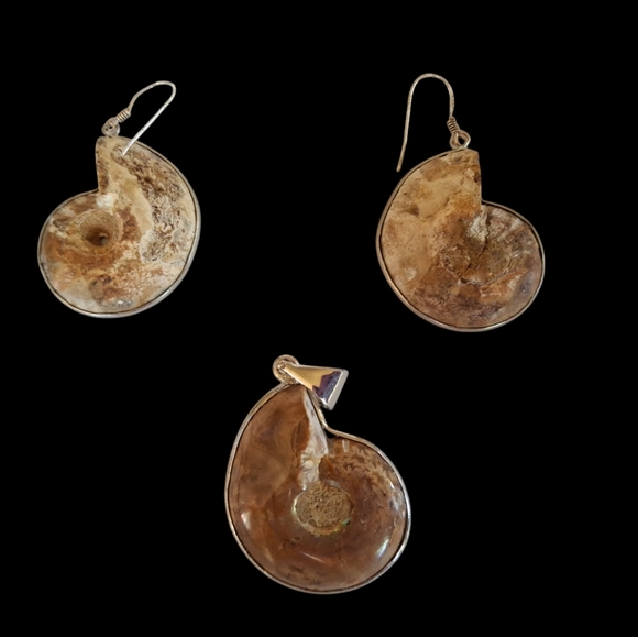 Unique Ammonite Fossil Earrings & Pendant Set 925 Sterling Silver "Stargazer" - Picture 6 of 13